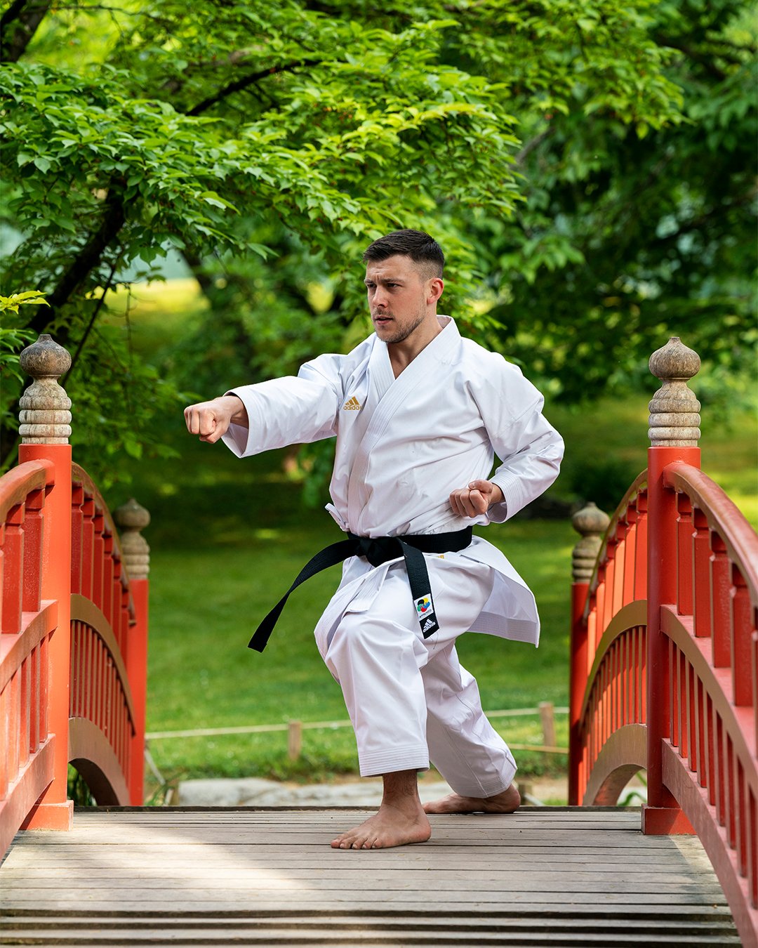 Karategui shori - Imagen 13